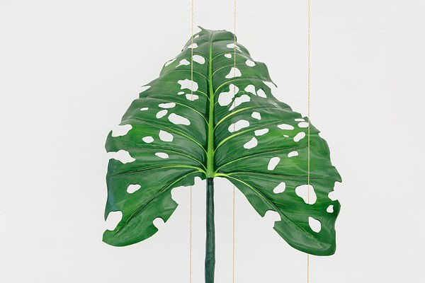 Image 10 of 17