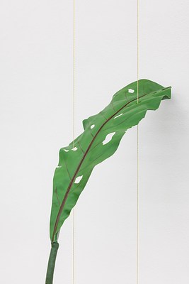 Image 12 of 17
