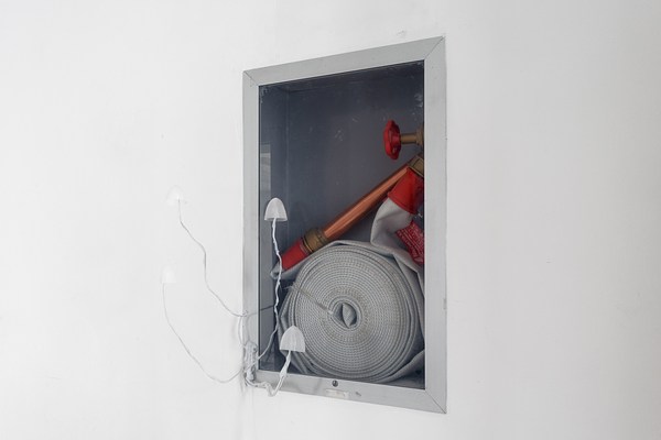 Image 10 of 25