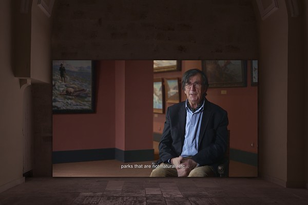 Image 25 of 25