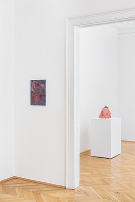 Image 7 of 23