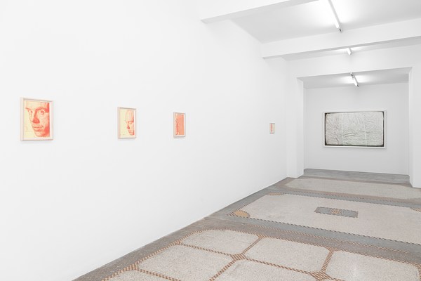 Image 12 of 27