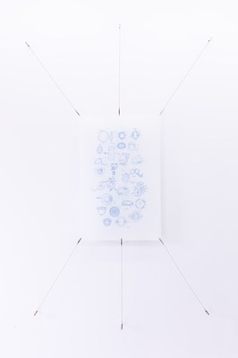 Image 3 of 16