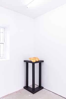 Image 4 of 16