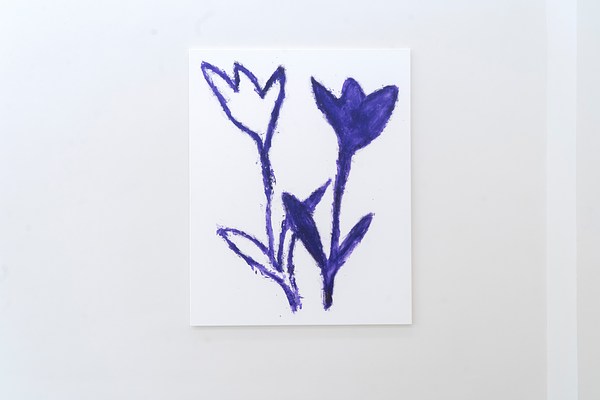 Image 5 of 16