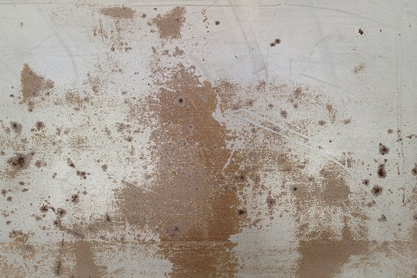 Image 12 of 31