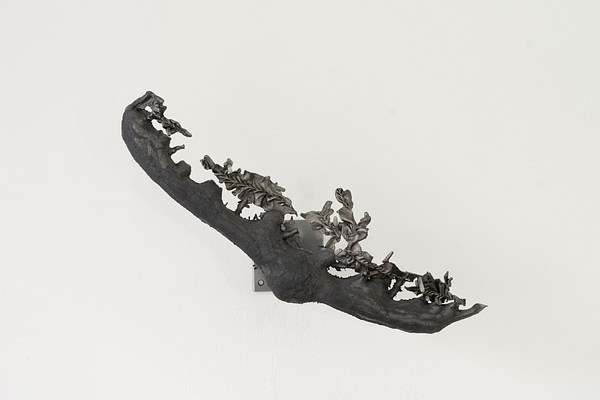 Image 17 of 20