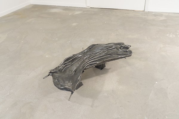 Image 19 of 20