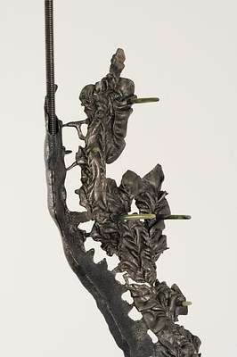 Image 16 of 20
