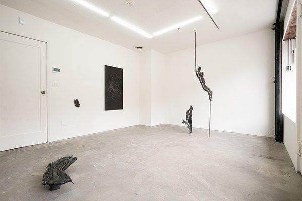 Image 7 of 20