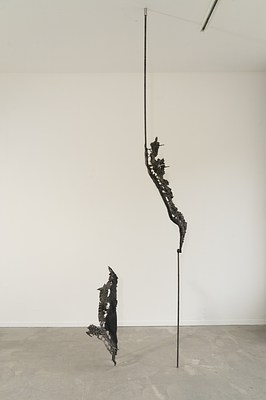 Image 11 of 20
