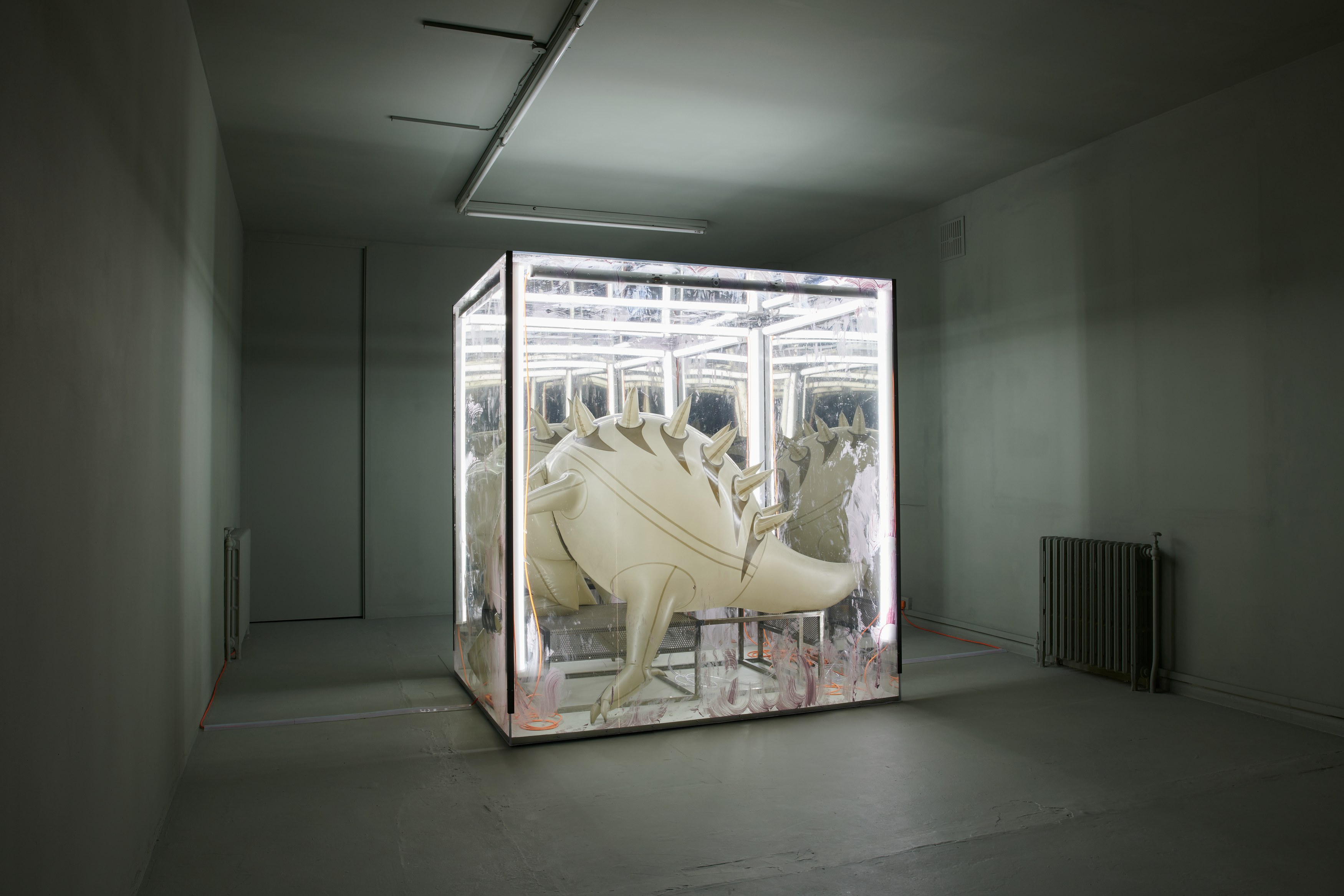 Jenkin van Zyl, Vore at Rose Easton, photo 2