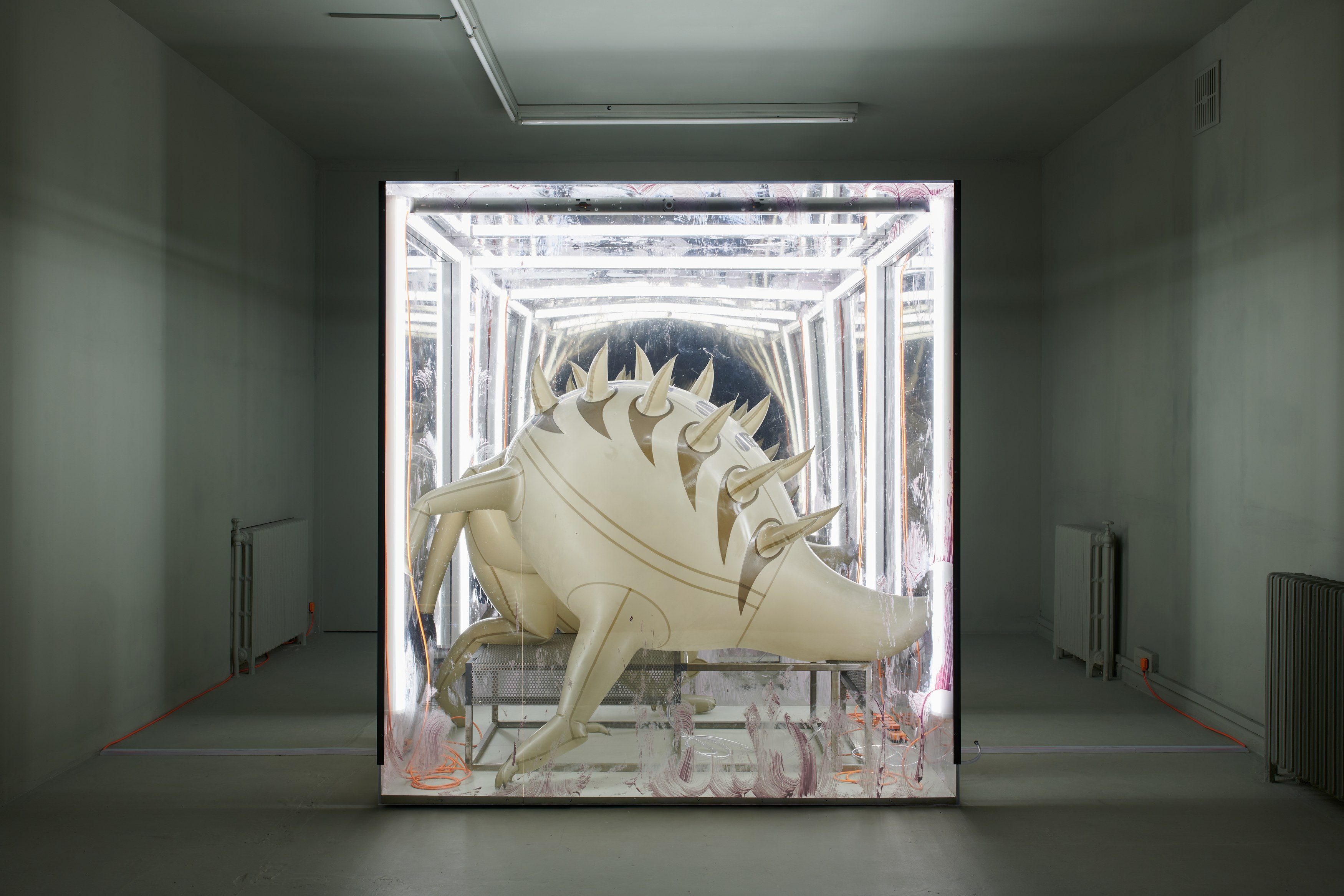 Jenkin van Zyl, Vore at Rose Easton, photo 3