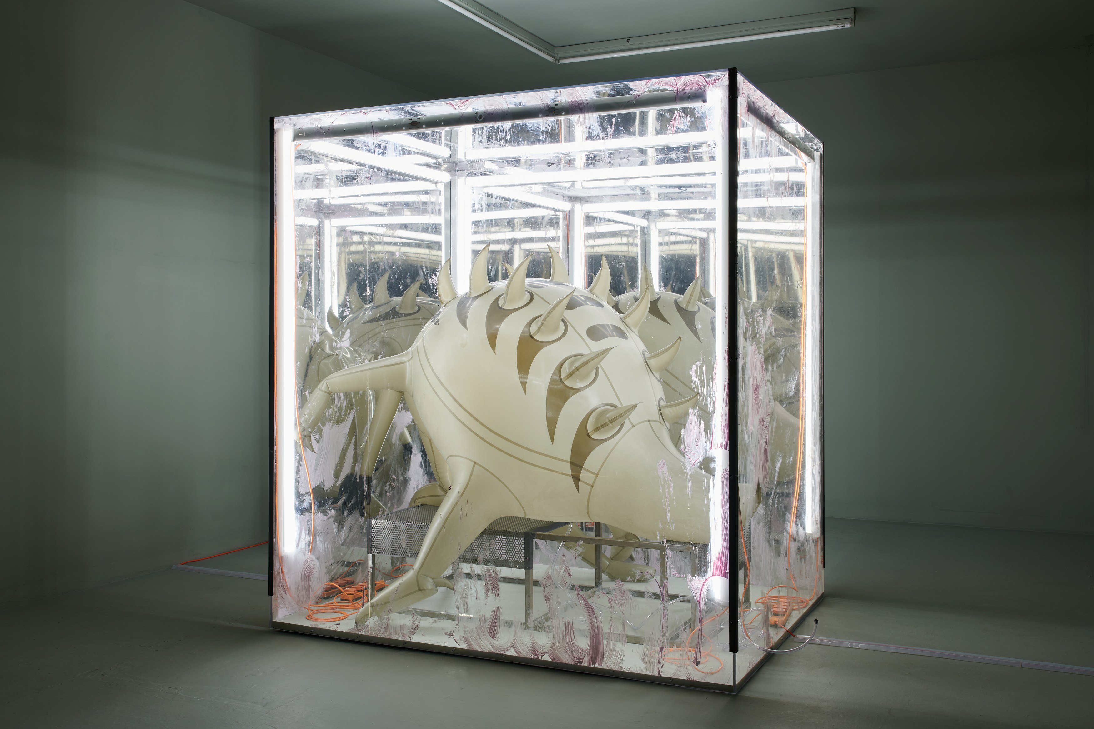 Jenkin van Zyl, Vore at Rose Easton, photo 4