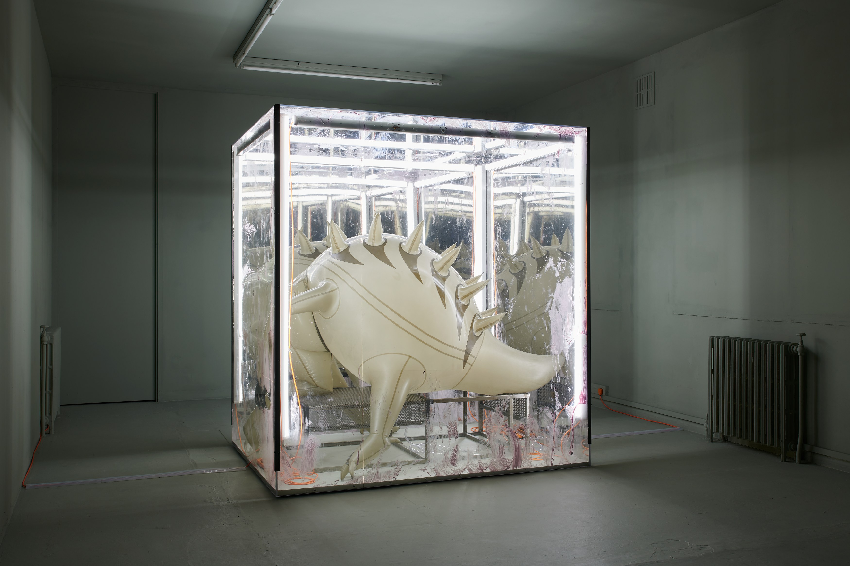 Jenkin van Zyl, Vore at Rose Easton, photo 5