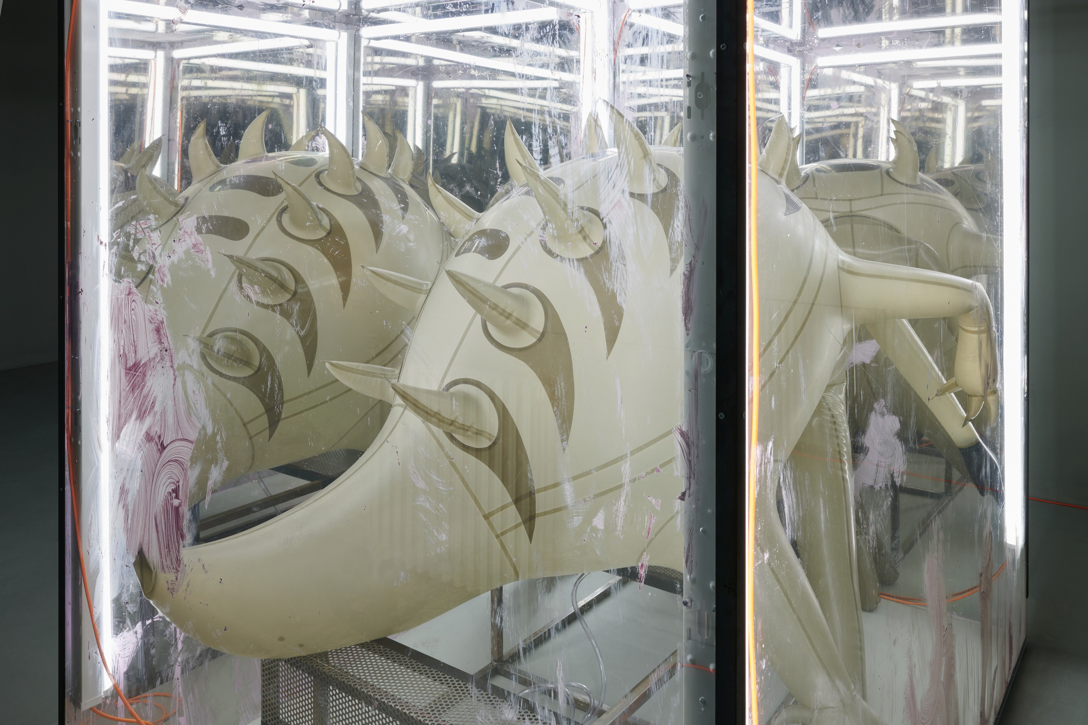 Jenkin van Zyl, Vore at Rose Easton, photo 7