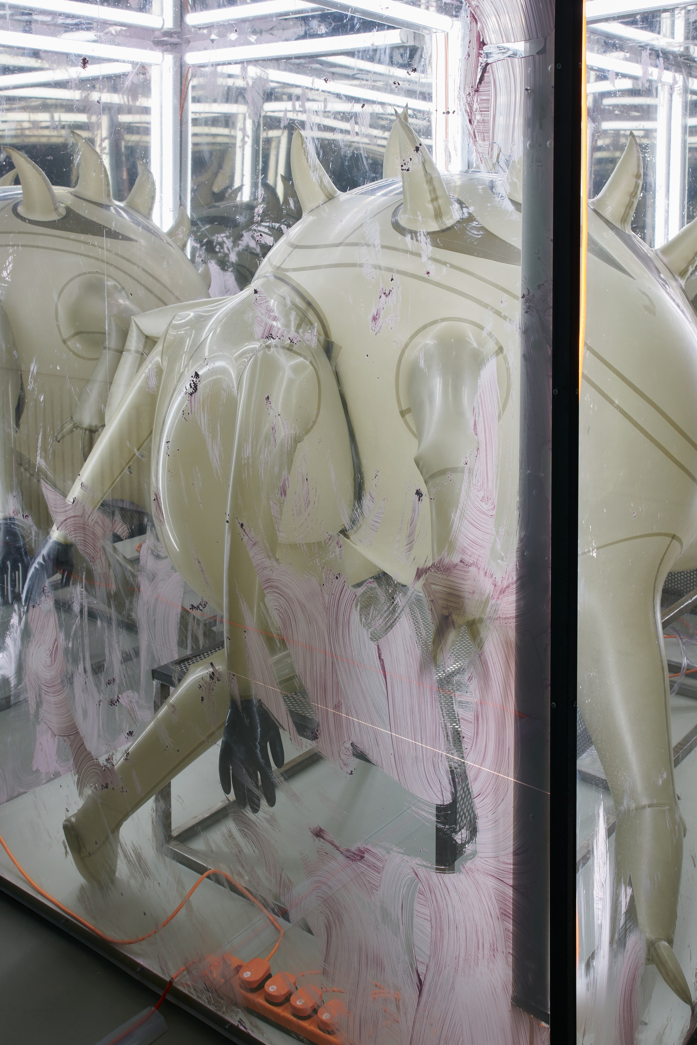 Jenkin van Zyl, Vore at Rose Easton, photo 9