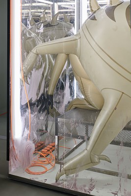 Image 13 of 16