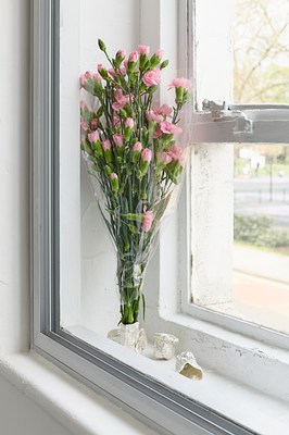 Image 5 of 47