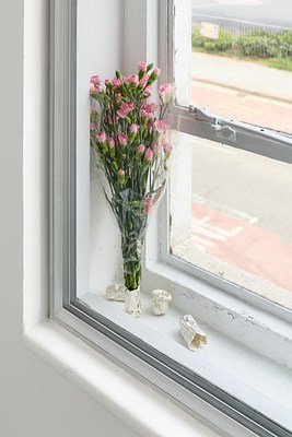 Image 4 of 47