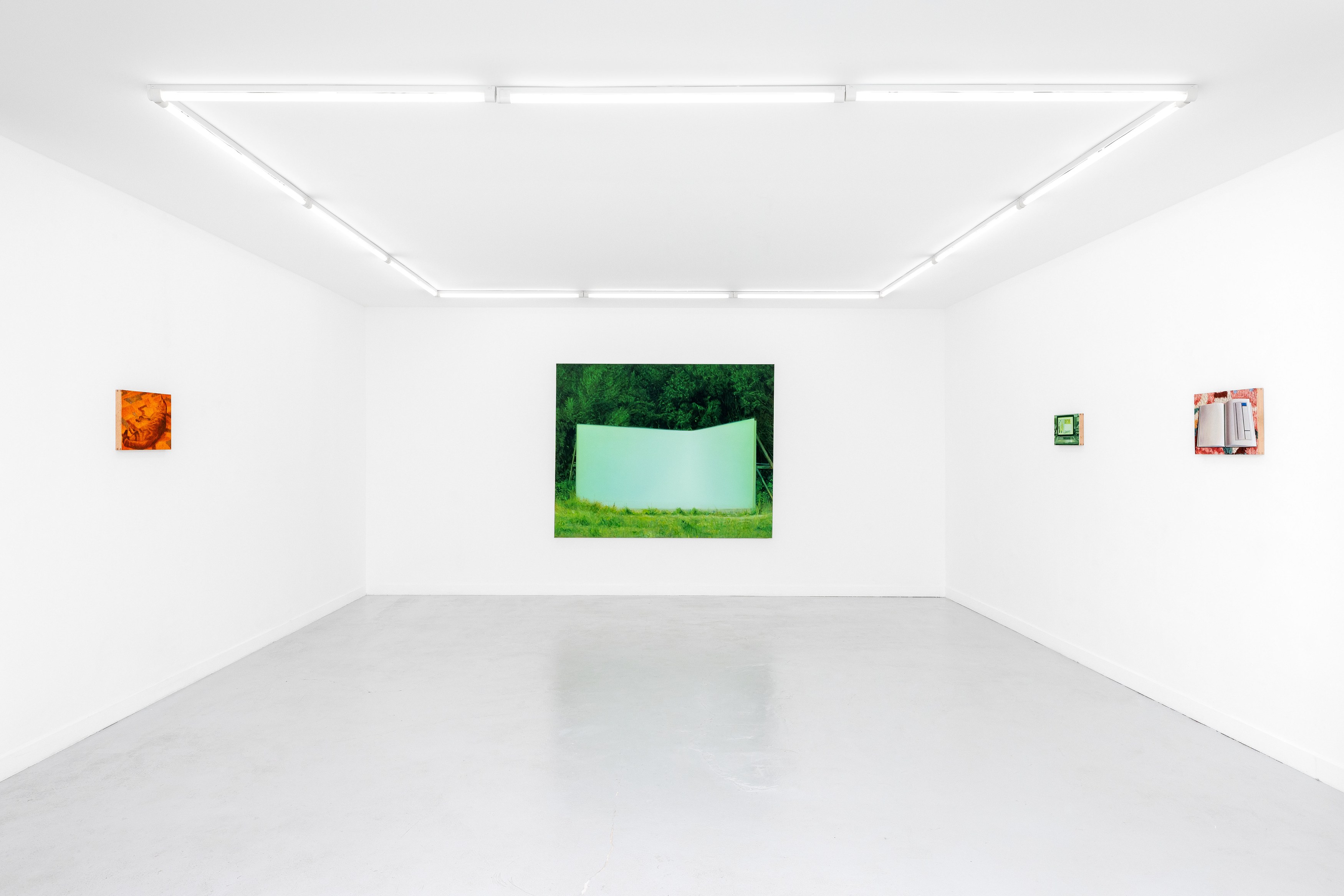 Guillaume Valenti, Vert Cadmium at Parliament, photo 11