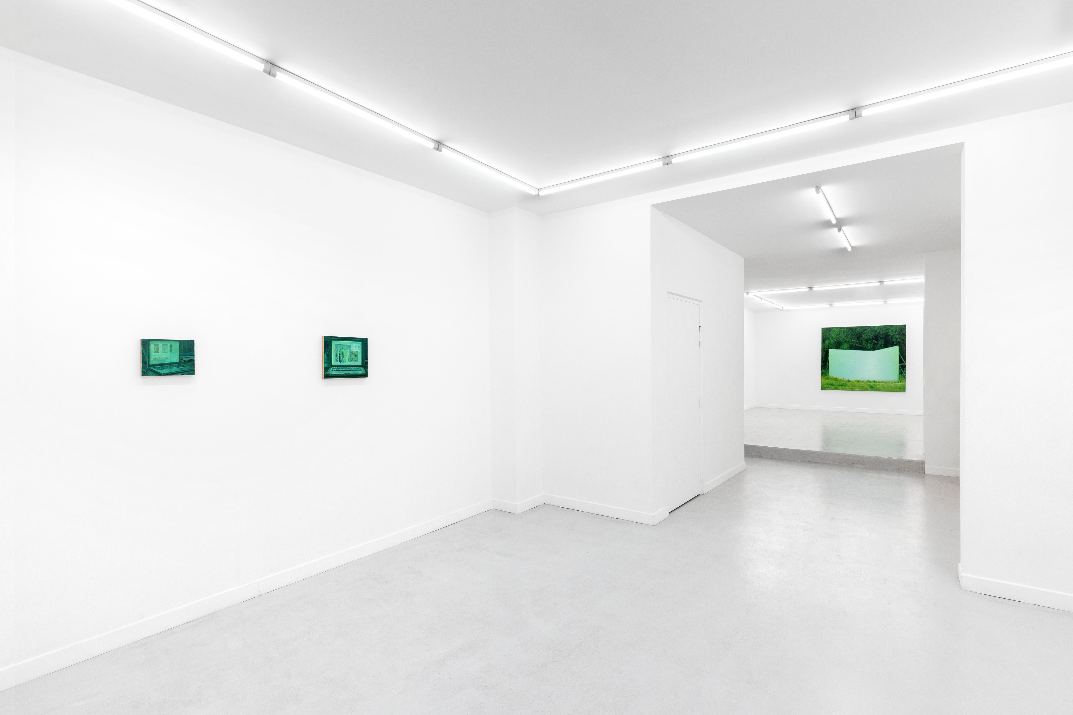 Guillaume Valenti, Vert Cadmium at Parliament, photo 10