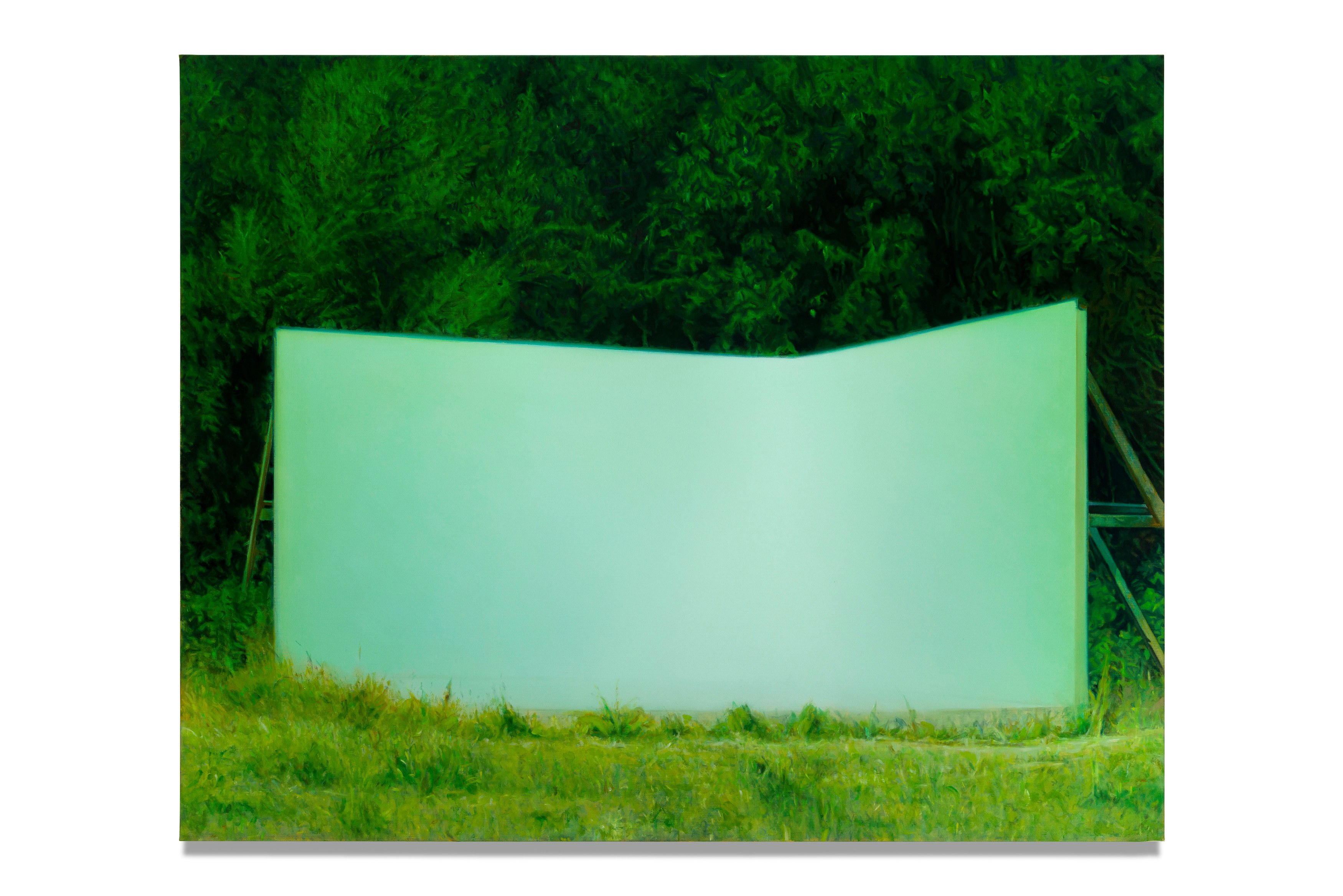 Guillaume Valenti, Vert Cadmium at Parliament, photo 12
