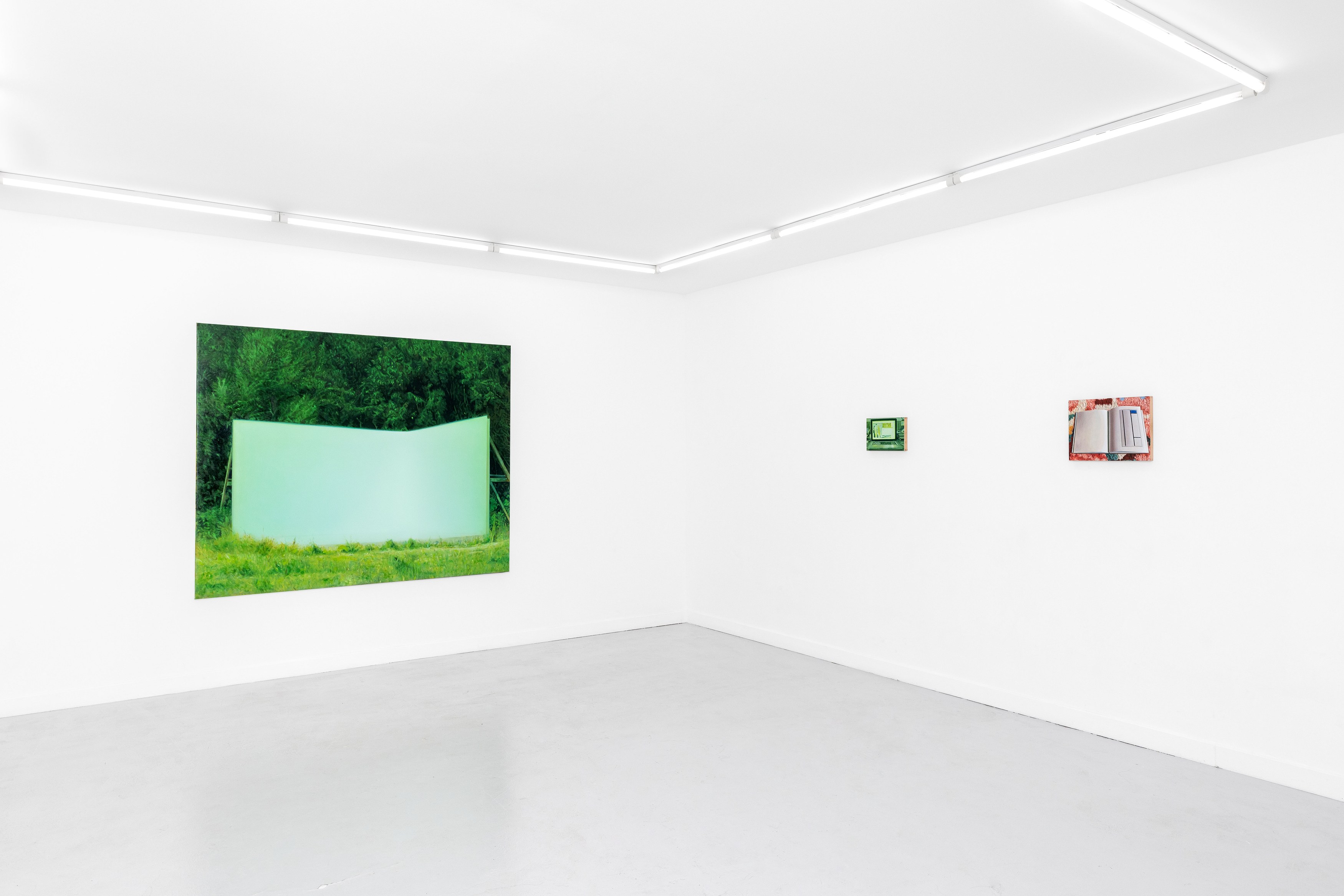 Guillaume Valenti, Vert Cadmium at Parliament, photo 15