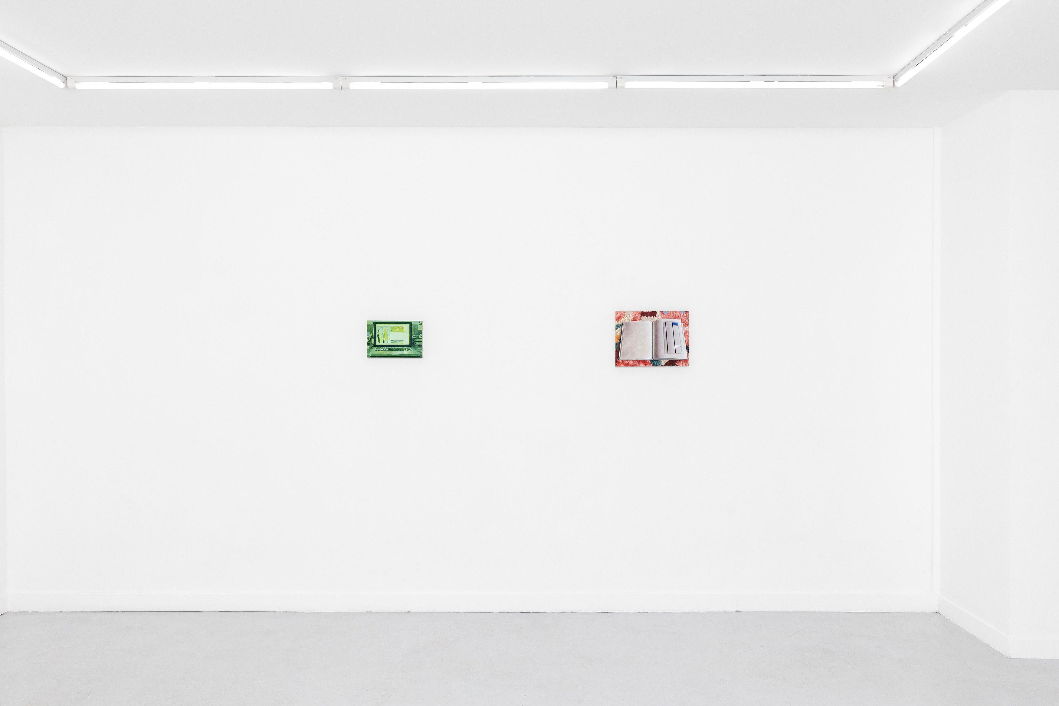 Guillaume Valenti, Vert Cadmium at Parliament, photo 16