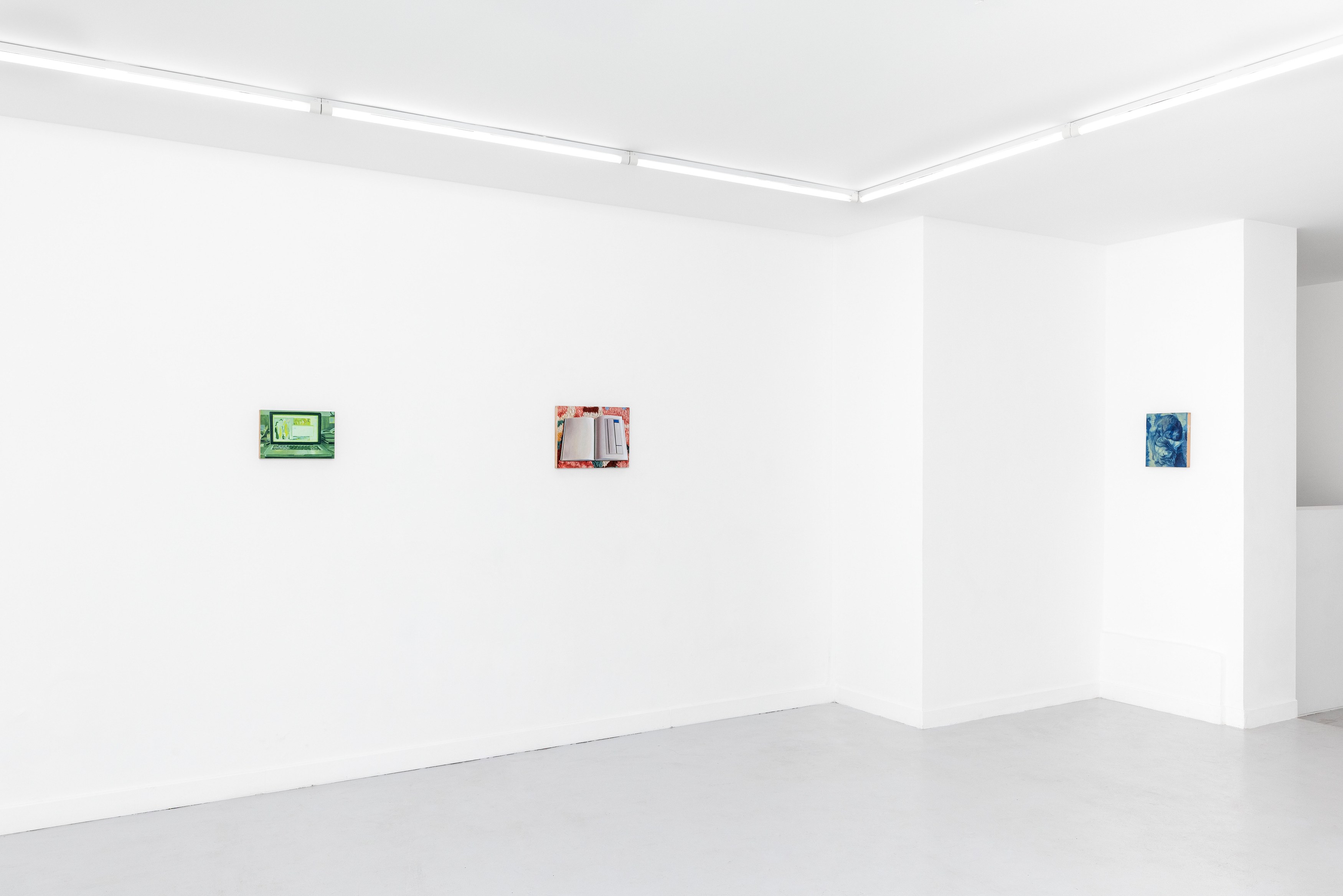 Guillaume Valenti, Vert Cadmium at Parliament, photo 20
