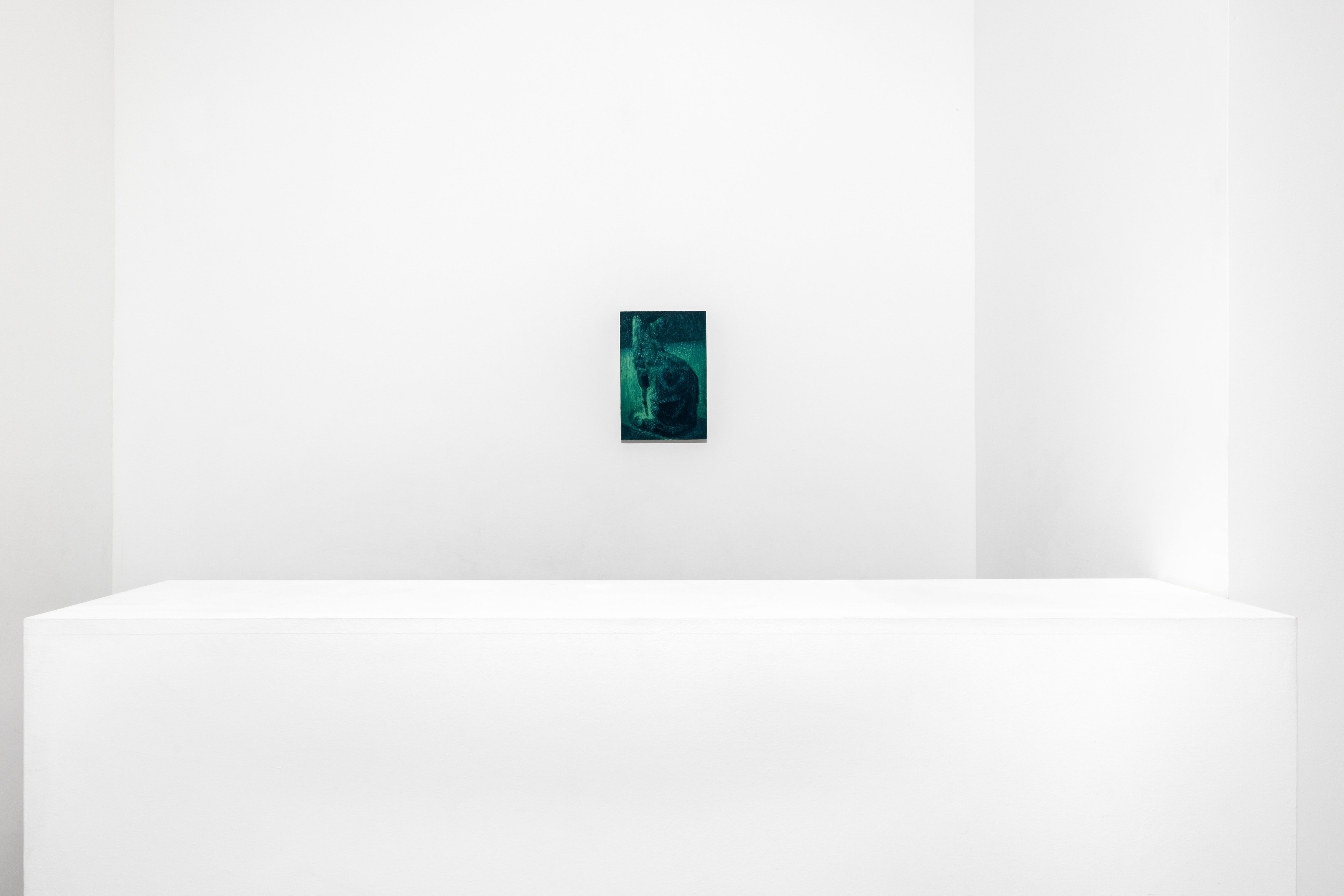 Guillaume Valenti, Vert Cadmium at Parliament, photo 22