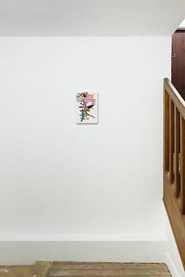 Image 5 of 16