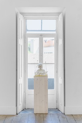 Image 4 of 20