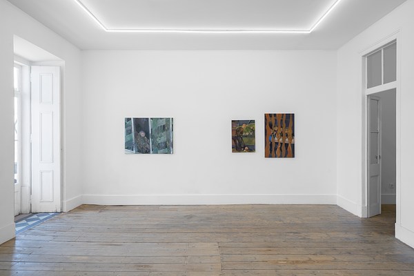 Image 13 of 20