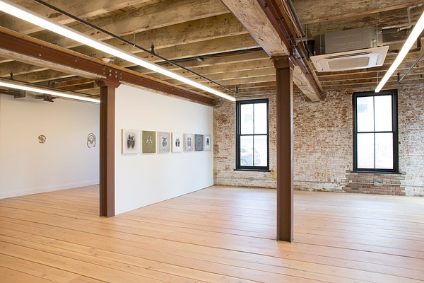 Image 7 of 16