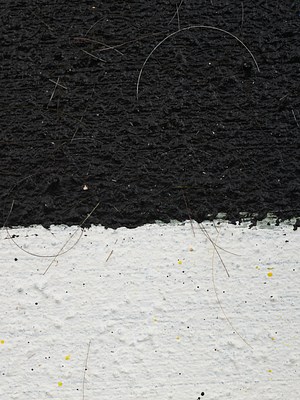 Image 24 of 38