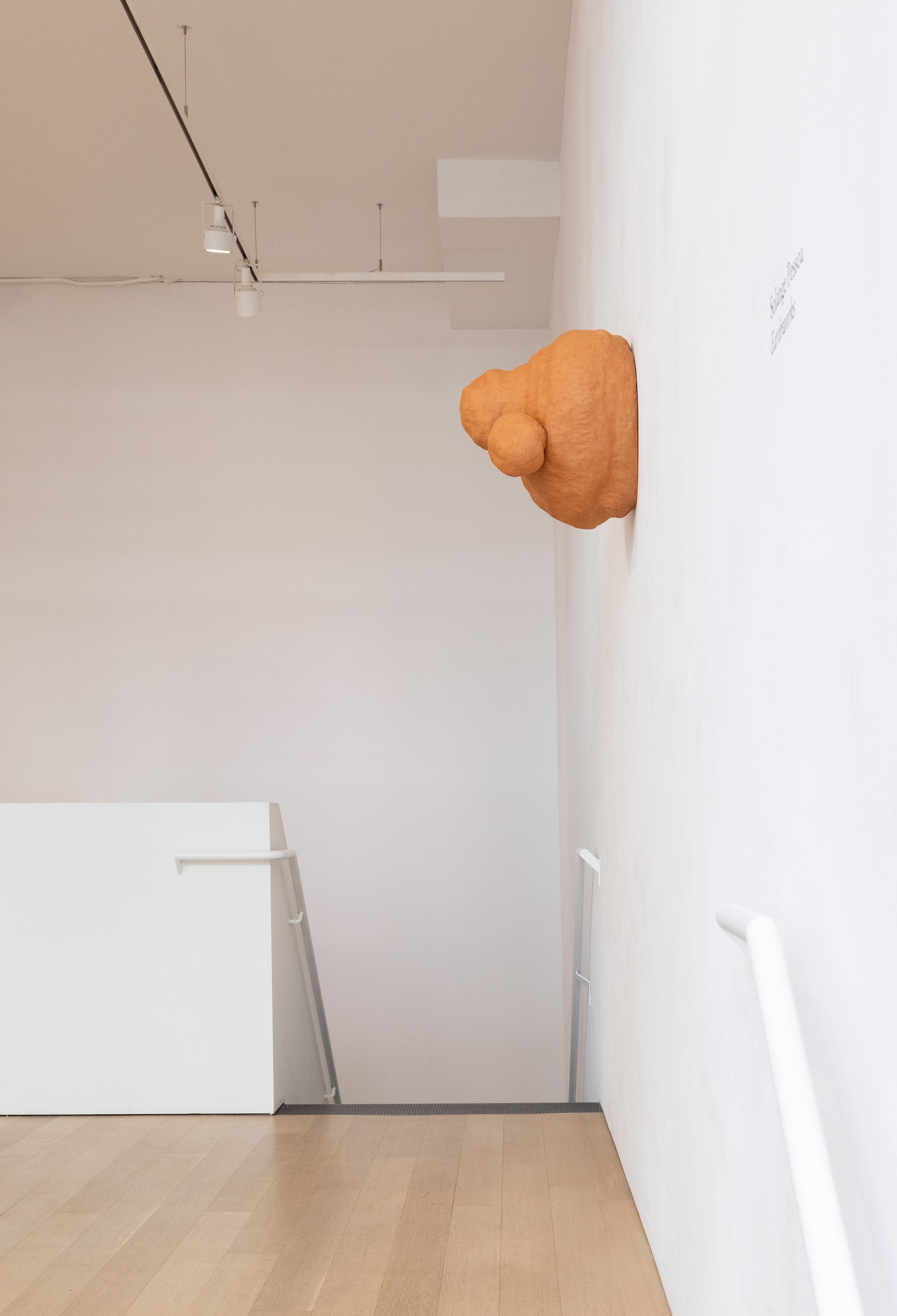 Solange Pessoa, Earthworks at Mendes Wood DM, photo 2
