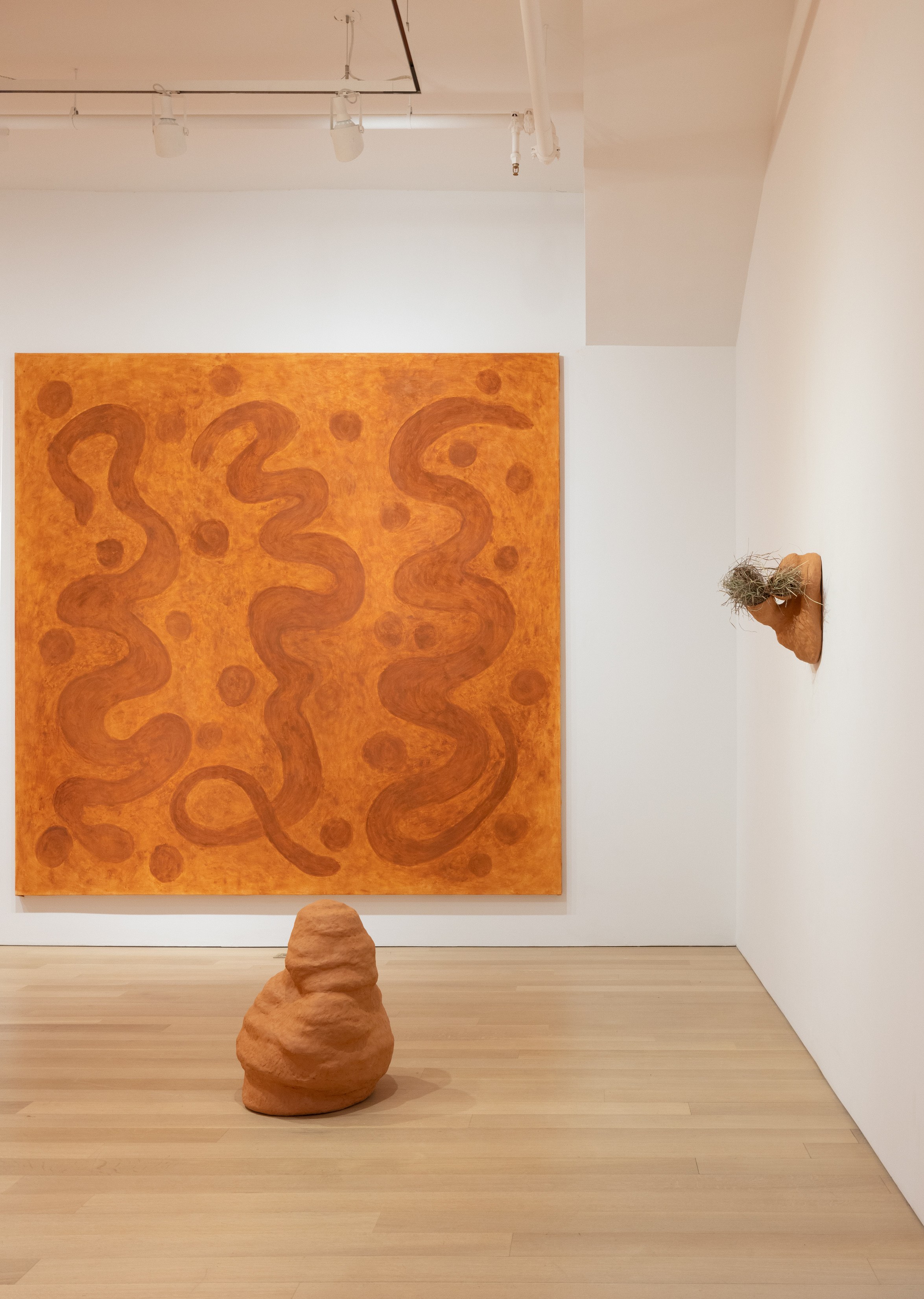 Solange Pessoa, Earthworks at Mendes Wood DM, photo 6