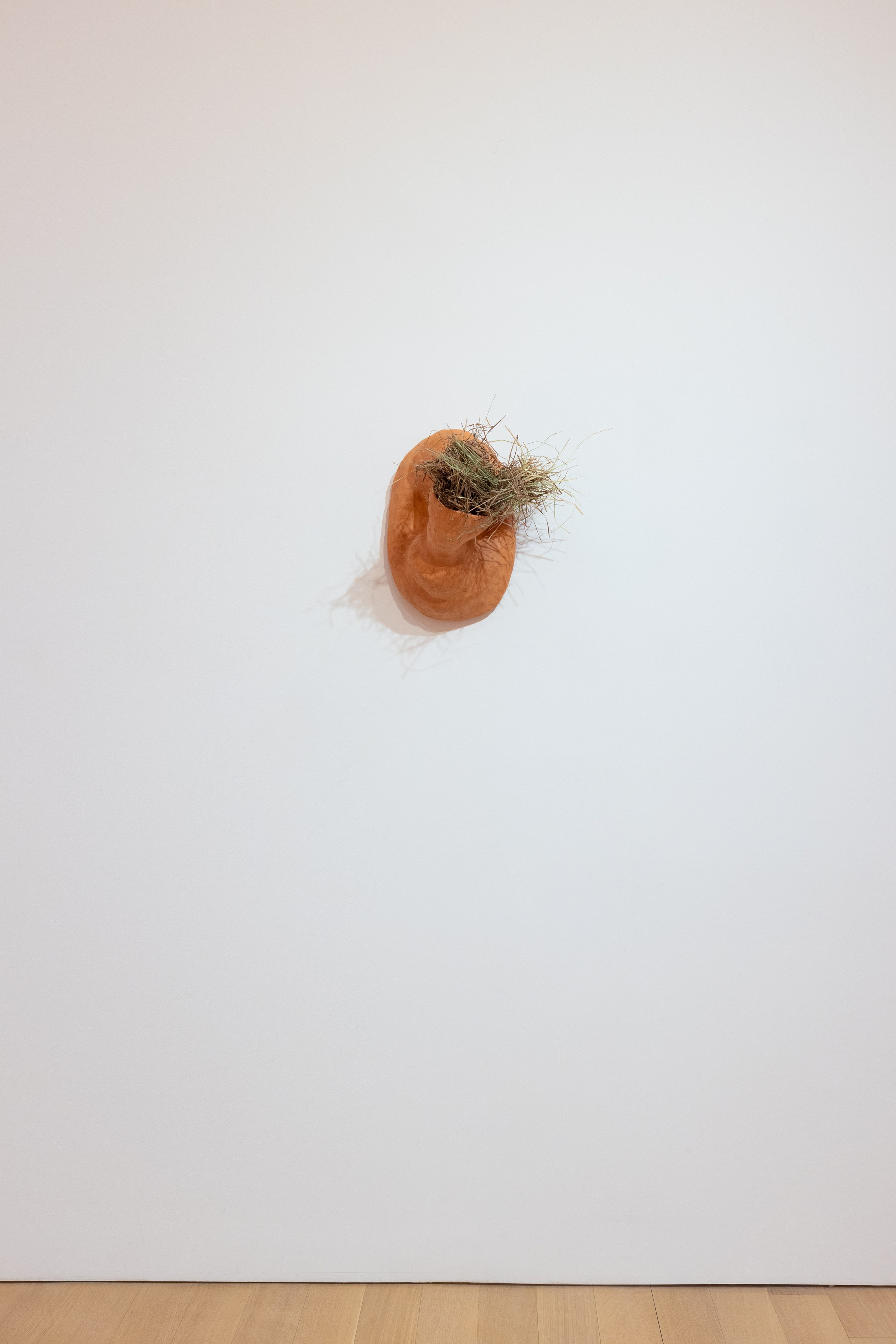 Solange Pessoa, Earthworks at Mendes Wood DM, photo 7