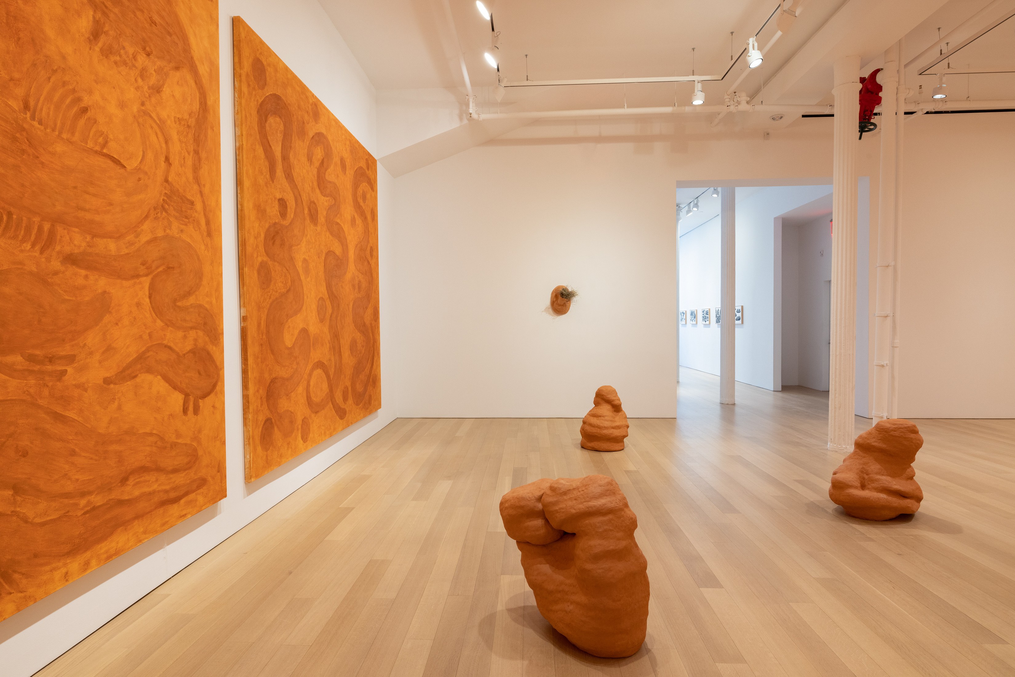 Solange Pessoa, Earthworks at Mendes Wood DM, photo 8