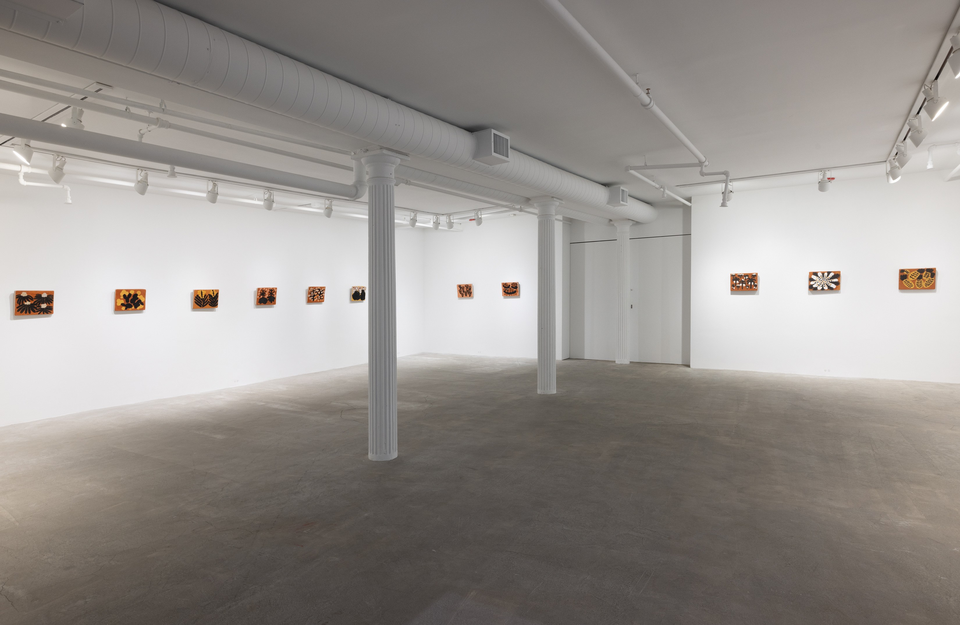 Solange Pessoa, Earthworks at Mendes Wood DM, photo 10