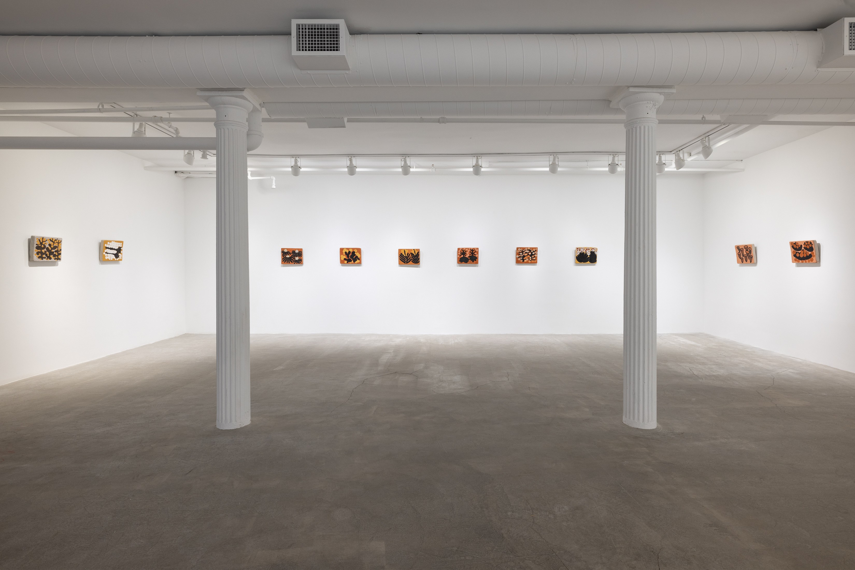 Solange Pessoa, Earthworks at Mendes Wood DM, photo 12