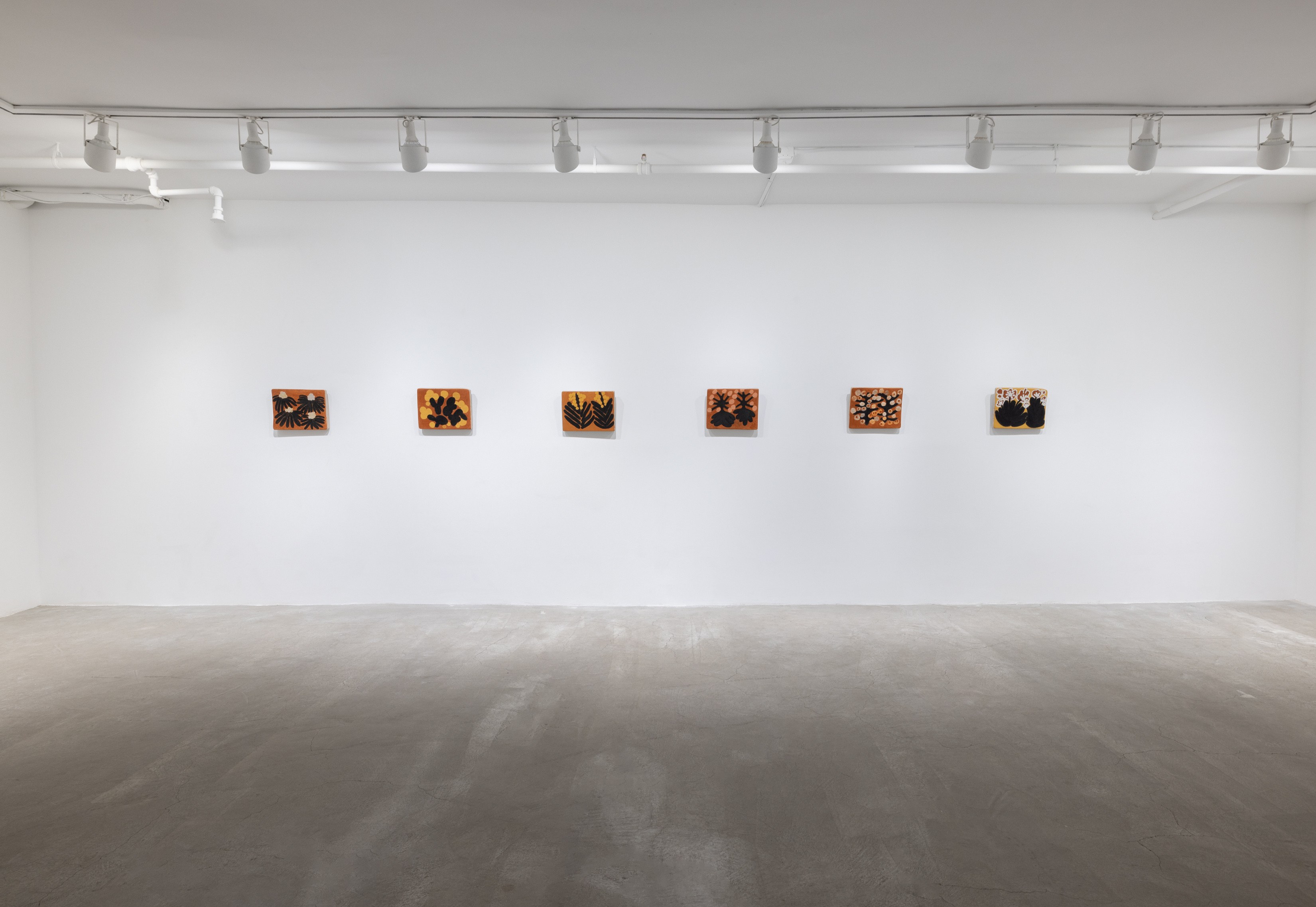 Solange Pessoa, Earthworks at Mendes Wood DM, photo 13