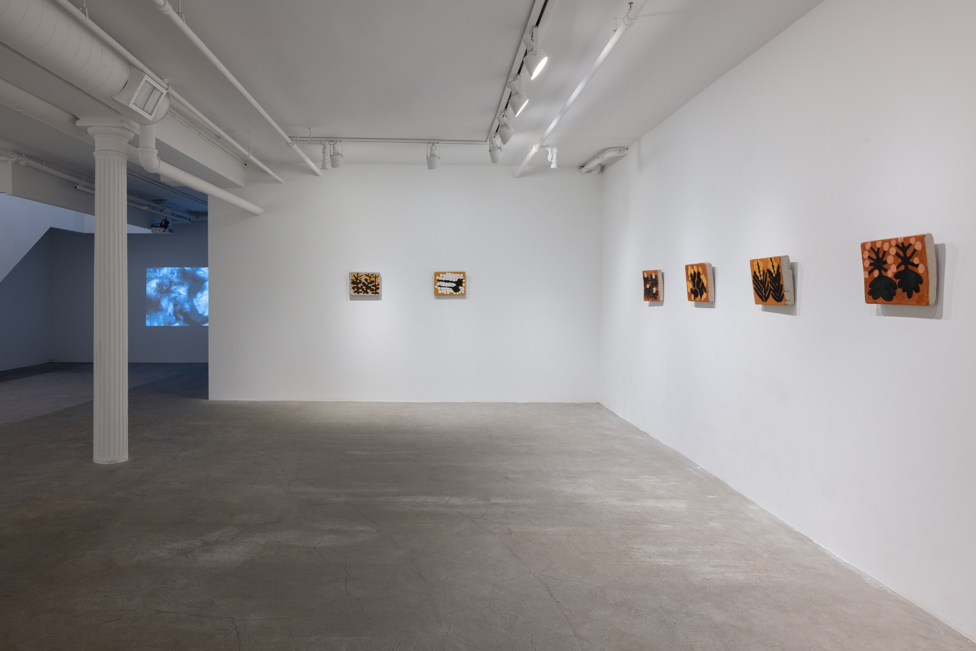 Solange Pessoa, Earthworks at Mendes Wood DM, photo 14
