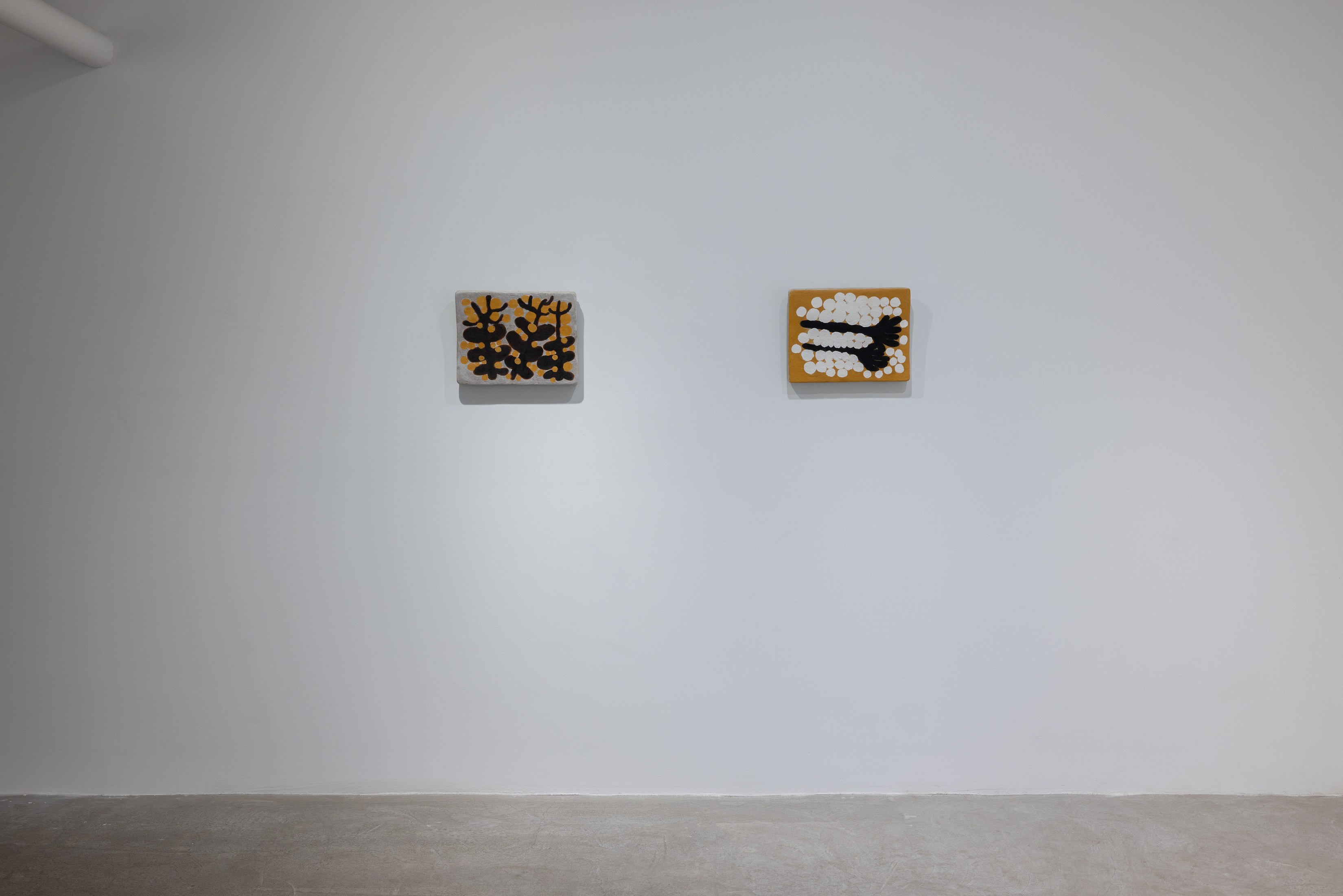 Solange Pessoa, Earthworks at Mendes Wood DM, photo 15