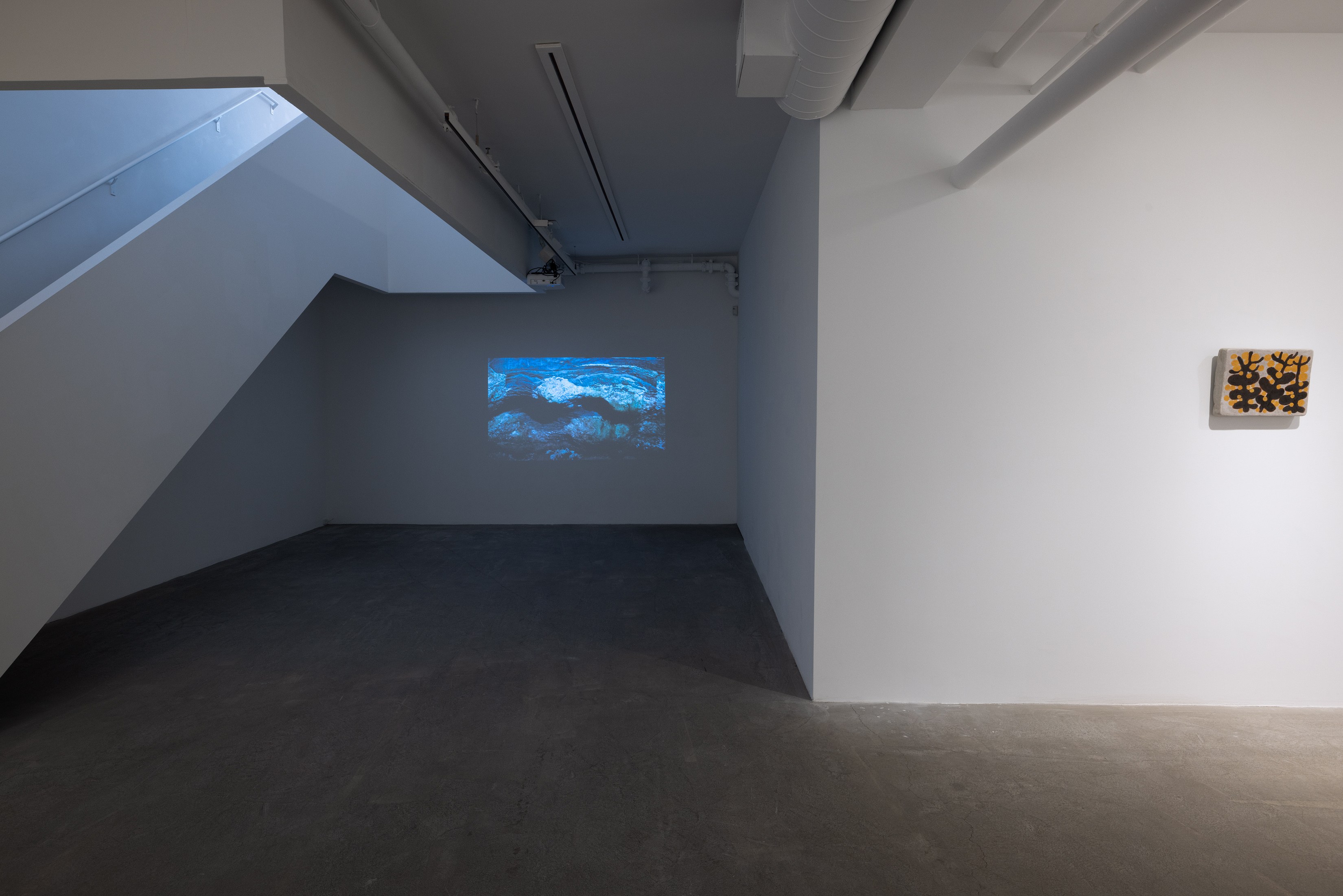Solange Pessoa, Earthworks at Mendes Wood DM, photo 16