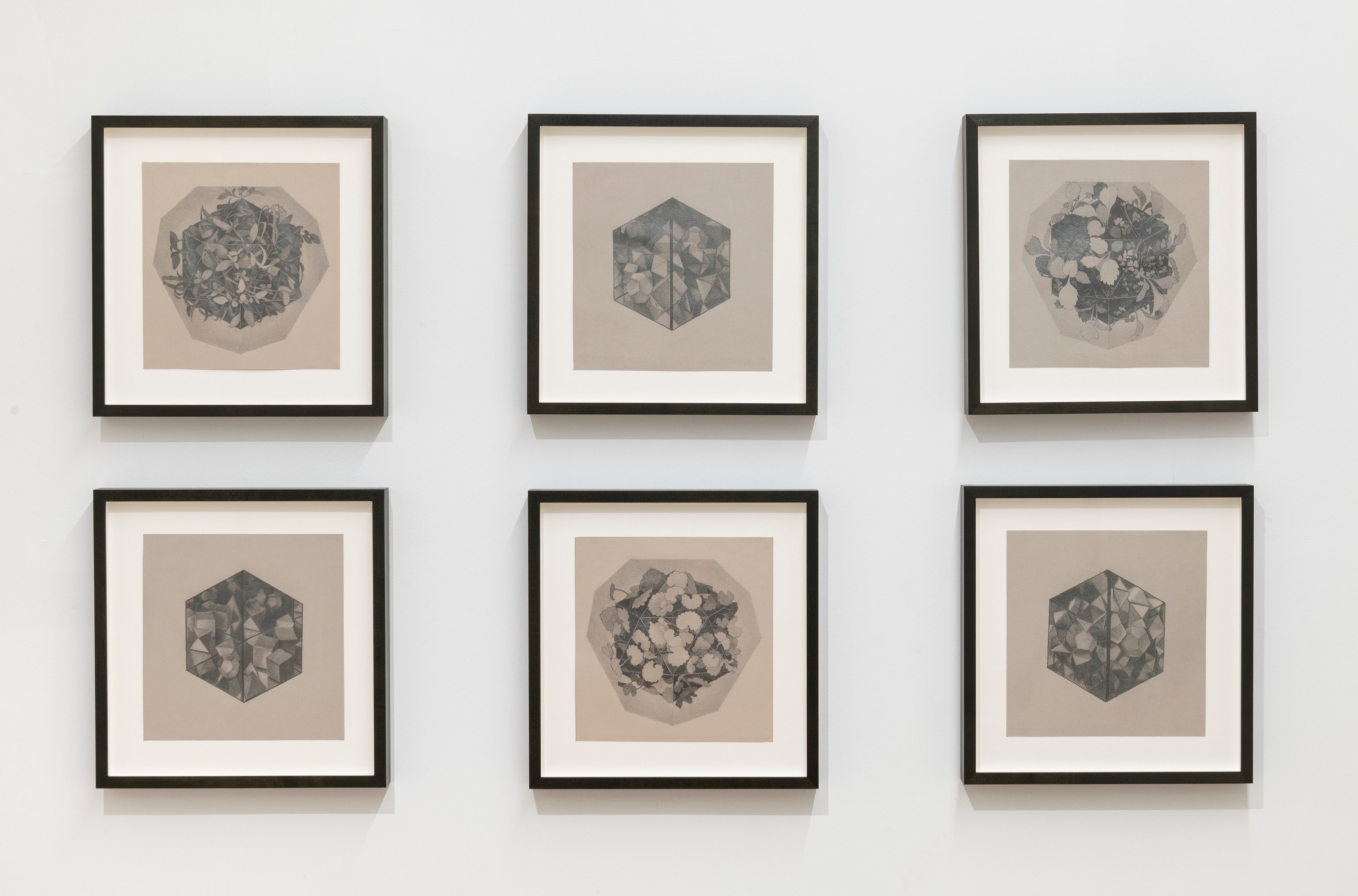 Zoe Pettijohn Schade, The Hard Problem at Kai Matsumiya, photo 2