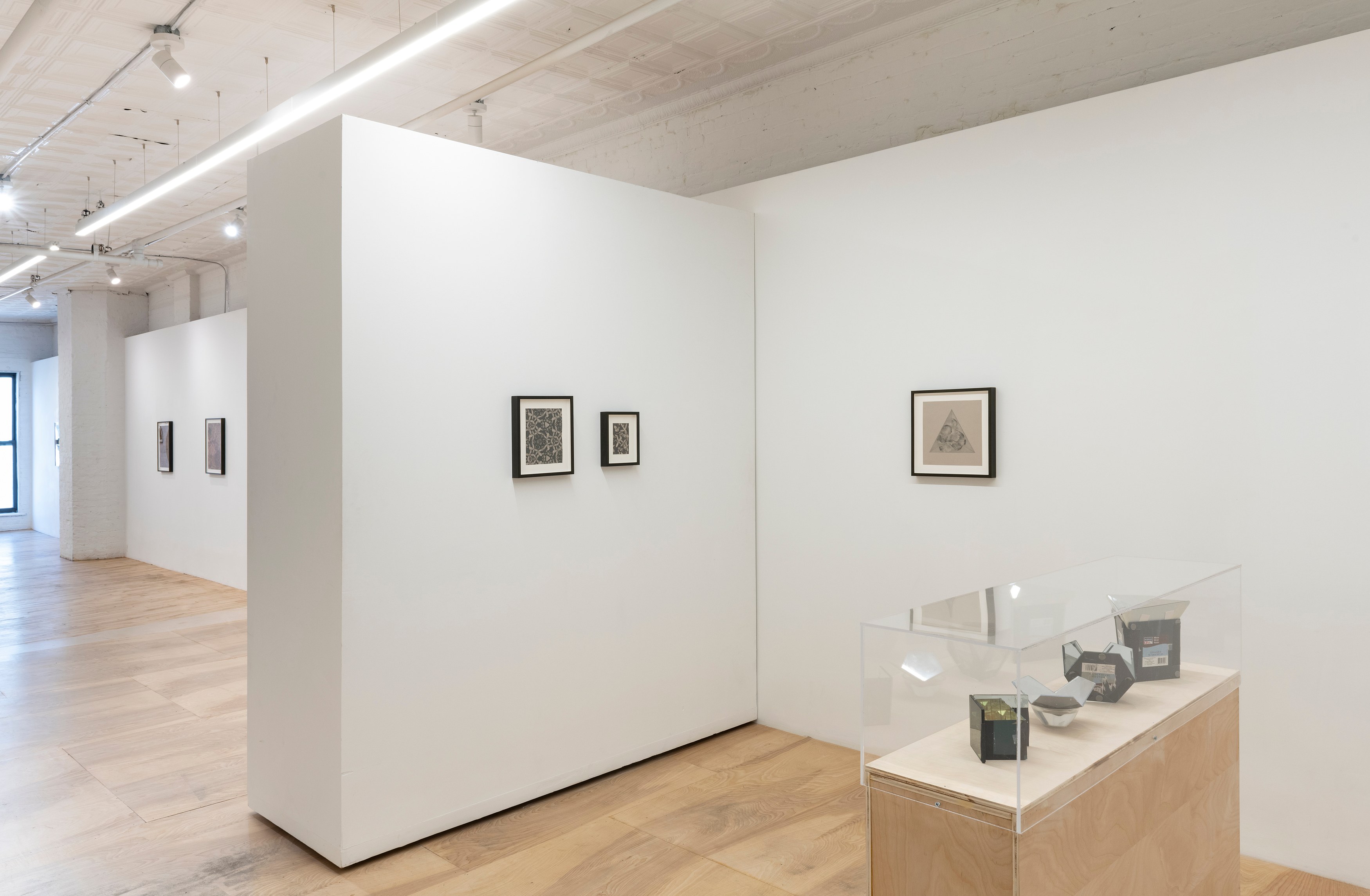 Zoe Pettijohn Schade, The Hard Problem at Kai Matsumiya, photo 5