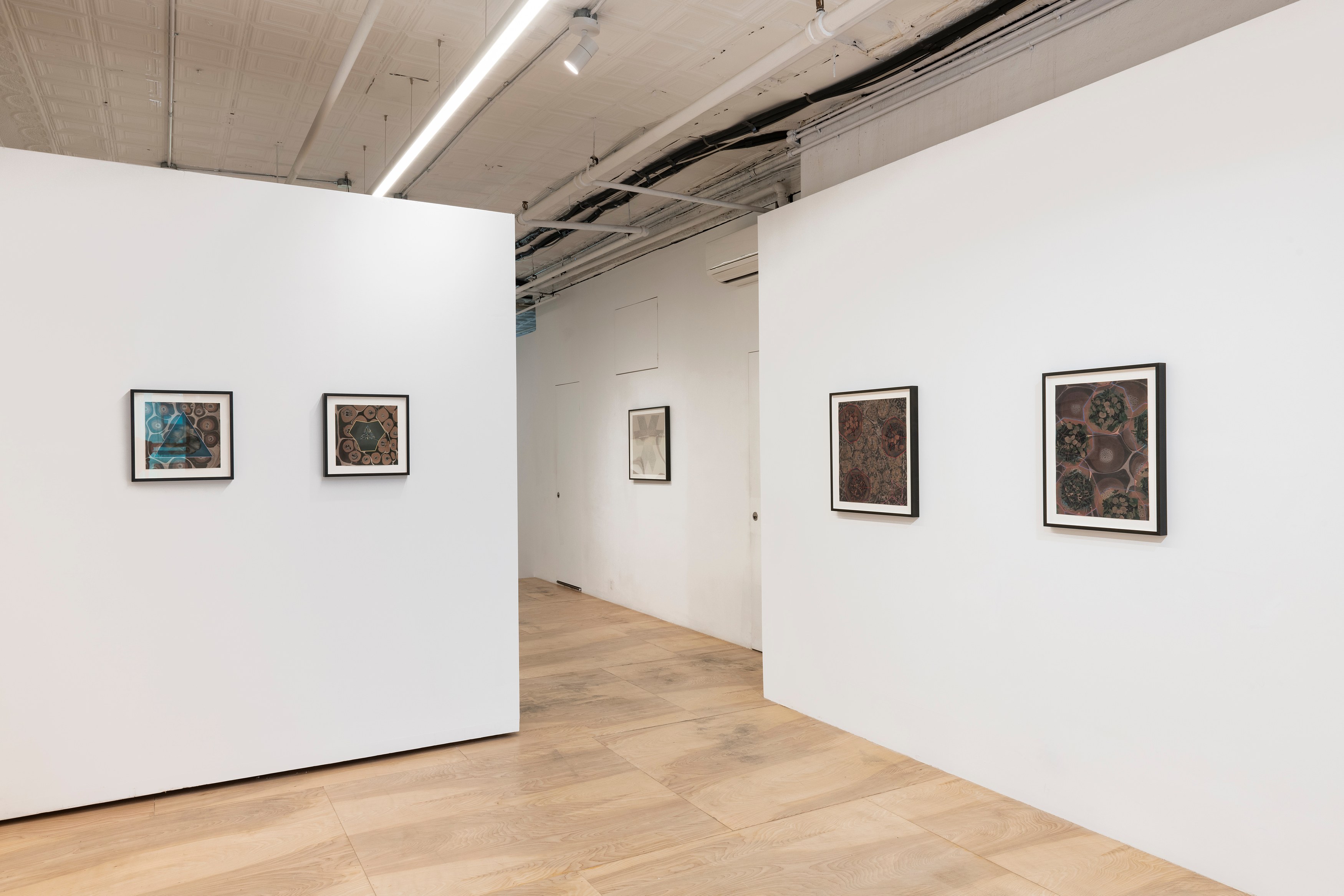 Zoe Pettijohn Schade, The Hard Problem at Kai Matsumiya, photo 9