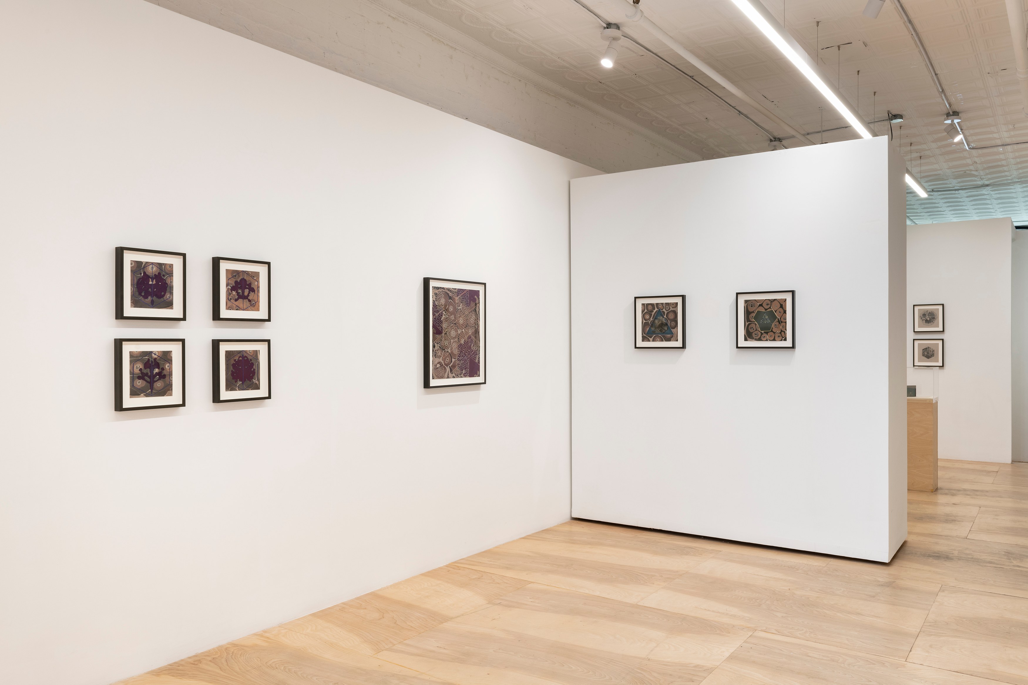 Zoe Pettijohn Schade, The Hard Problem at Kai Matsumiya, photo 11